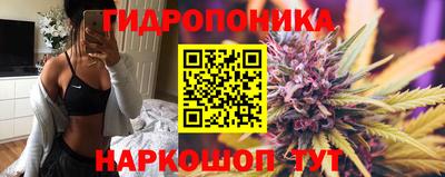 прущие крисы Кунгур