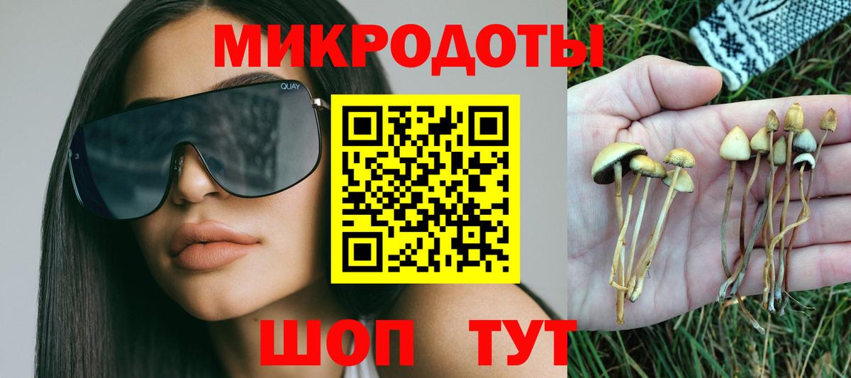 Галлюциногенные грибы прущие грибы Долгопрудный